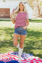 June Stripe Patchwork T Shirt