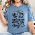 Wholesale I'm Not Arguing Graphic Tee - Steel Blue Tee