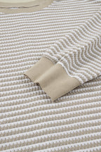Vanessa Knit Ribbed Trim Long Sleeve PLUS Top