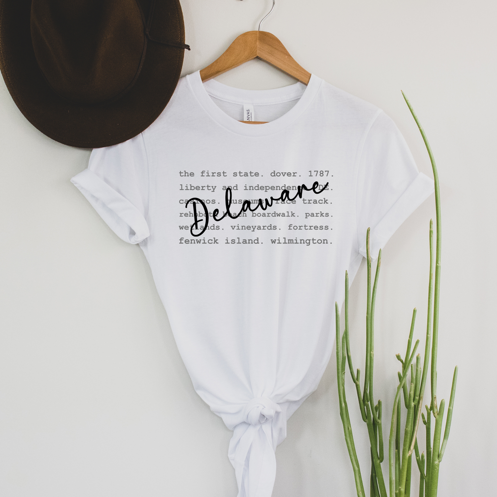 Wholesale Delaware Typography Graphic Tee - Ash Tee