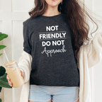 Wholesale Not Friendly Do Not Approach Graphic Tee - Dark Grey Heather Tee