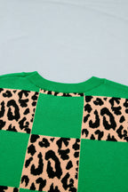Cattleya Checkered Short Sleeve PLUS Sweater