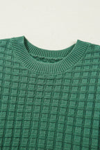 Birdie Textured Short Sleeve Sweater