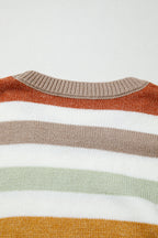 Wrenleigh Colorblock Drop Shoulder PLUS Sweater