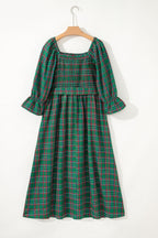 Scarlett Waist Flared Midi Dress