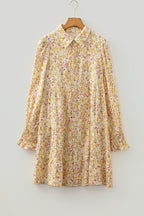 Kaiya Loose Shirt Dress Long Sleeve
