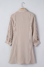 Hanna Sleeve Down Mini Shirt