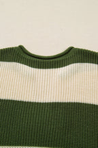 Violet Stripe Colorblock Notched PLUS Sweater