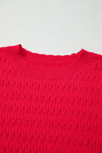 Nellie Knit Ribbed Cuffs Sweater