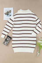 Iris Striped Zip Collared Loose Sweater Mini Dress