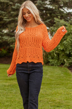 Emerson Crochet Scallop Edge Sweater
