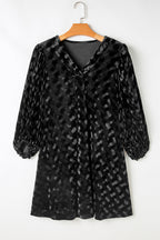 Ximena Sleeve Velvet Mini Dress