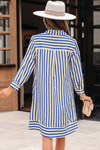 Maramila Loose Fit Mini Dress