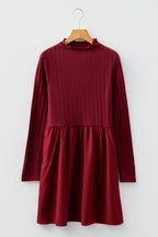 Beajena Long Sleeve Mini Dress