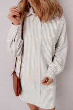 Selena Long Sleeve Button Up Shirt Dress