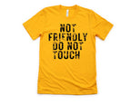 Wholesale Not Friendly Graphic Tee - Black